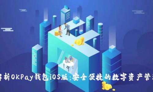 全面解析OKPay钱包iOS版：安全便捷的数字资产管理工具