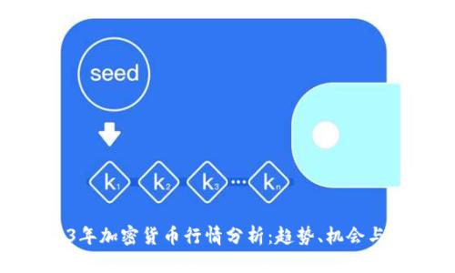 2023年加密货币行情分析：趋势、机会与风险