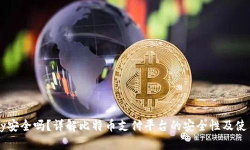 BitPay安全吗？详解比特币支付平台的安全性及使用指南