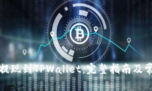 如何将资金提现到TPWallet：完整指南及常见问题解答