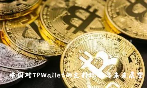  中国对TPWallet的支持现状与未来展望