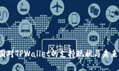  中国对TPWallet的支持现状与未来展望