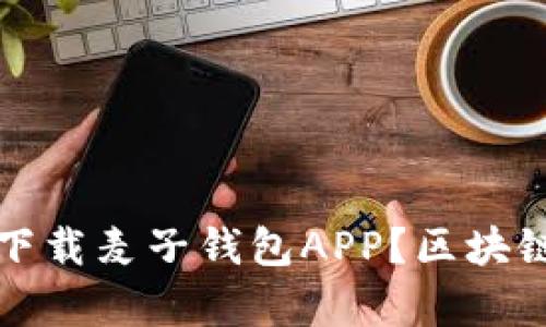 如何安全高效地下载麦子钱包APP？区块链技术的深入解析