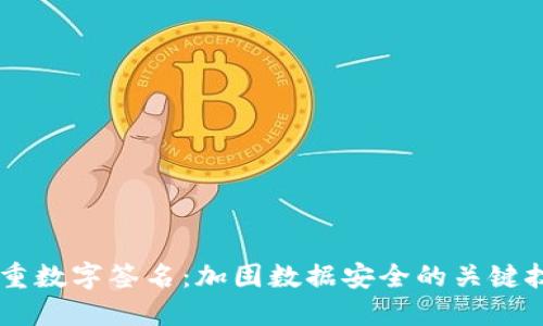 多重数字签名：加固数据安全的关键技术