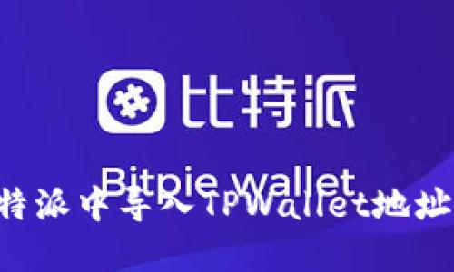 如何在比特派中导入TPWallet地址：详细指南