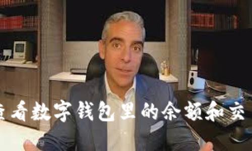 如何查看数字钱包里的余额和交易记录
