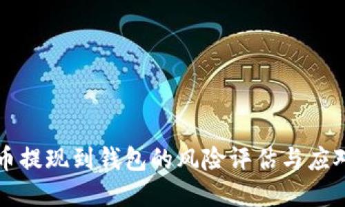 虚拟币提现到钱包的风险评估与应对策略