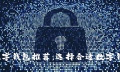 2023年最佳数字钱包推荐：