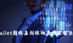 TPWallet转账未到账的原因及