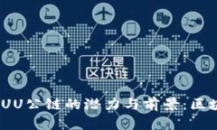 探索TPWallet HUU公链的潜力