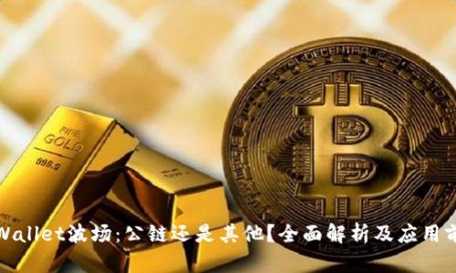 TPWallet波场：公链还是其他？全面解析及应用前景