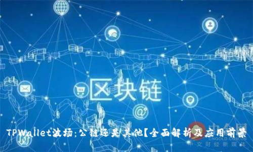 TPWallet波场：公链还是其他？全面解析及应用前景