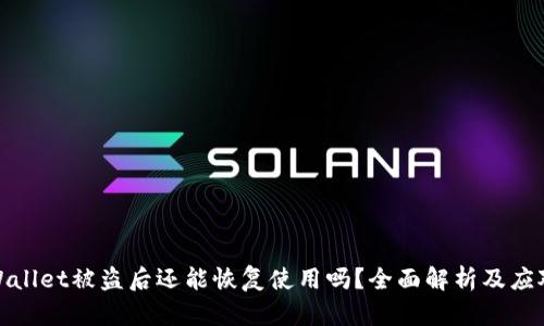 : TPWallet被盗后还能恢复使用吗？全面解析及应对策略