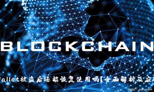 : TPWallet被盗后还能恢复使用吗？全面解析及应对策略