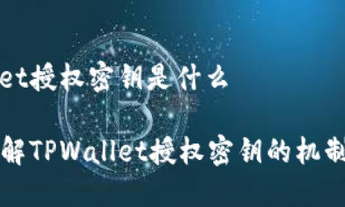 tpwallet授权密钥是什么

深入了解TPWallet授权密钥的机制及应用