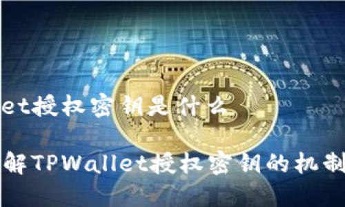 tpwallet授权密钥是什么

深入了解TPWallet授权密钥的机制及应用