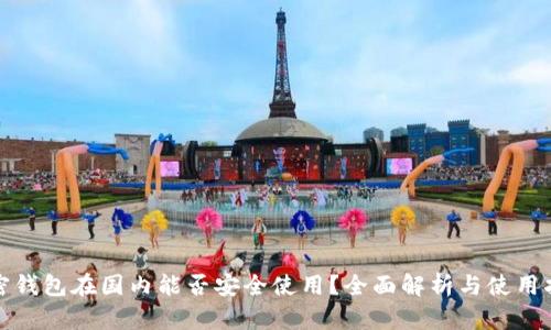 加密钱包在国内能否安全使用？全面解析与使用指南