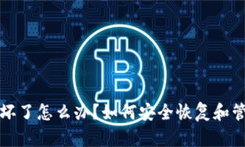 冷钱包手机坏了怎么办？如何安全恢复和管理数字资产