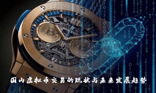 国内虚拟币交易的现状与未来发展趋势