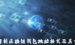 全面解析区块链钱包地址