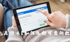 数字货币钱包是什么？如
