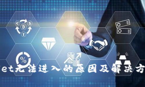TPWallet无法进入的原因及解决方案详解