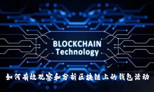 如何有效观察和分析区块链上的钱包活动