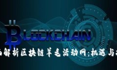 全面解析区块链羊毛活动