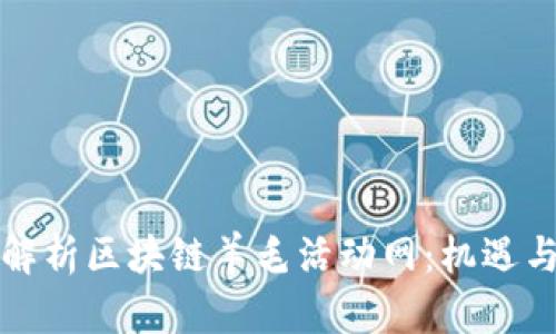 全面解析区块链羊毛活动网：机遇与挑战