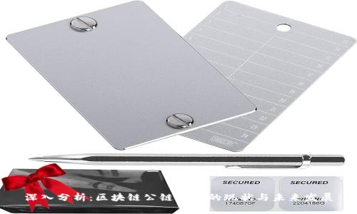 深入分析：区块链公链项目的现状与未来发展