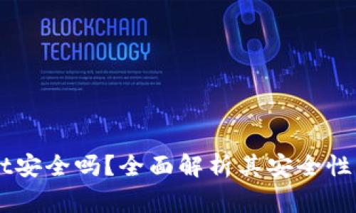区块链TPWallet安全吗？全面解析其安全性及使用注意事项