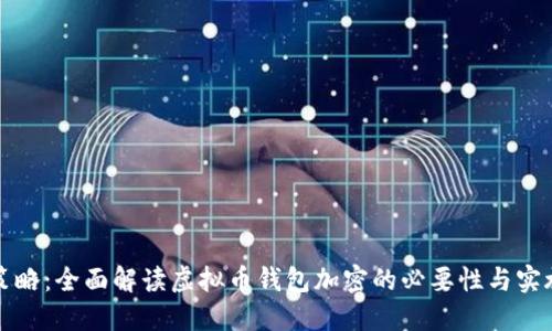 安全策略：全面解读虚拟币钱包加密的必要性与实施方法