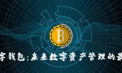 波场数字钱包：未来数字
