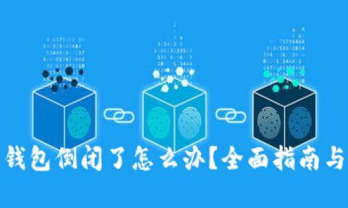 数字货币钱包倒闭了怎么办？全面指南与解决方案