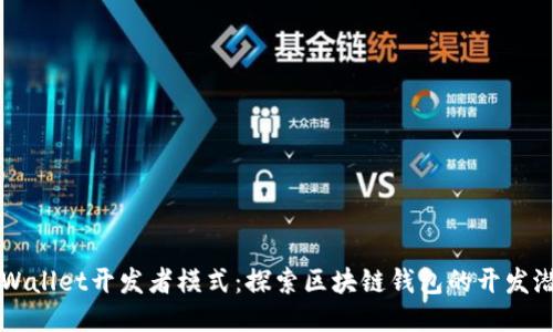 TPWallet开发者模式：探索区块链钱包的开发潜力