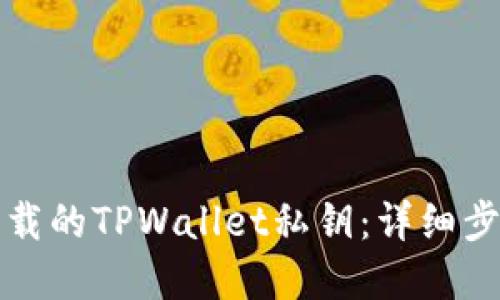如何导入新下载的TPWallet私钥:详细步骤与实用指南