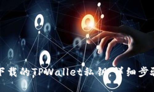 如何导入新下载的TPWallet私钥:详细步骤与实用指南