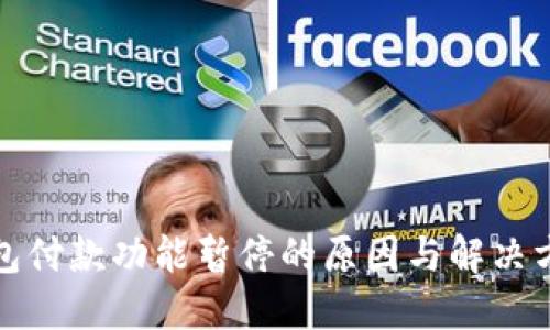 数字钱包付款功能暂停的原因与解决方案详解