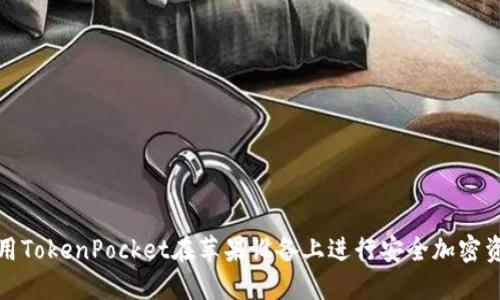 如何使用TokenPocket在苹果设备上进行安全加密资产管理