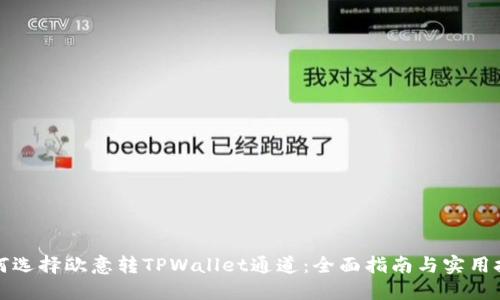 如何选择欧意转TPWallet通道：全面指南与实用技巧