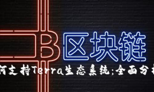 TPWallet如何支持Terra生态系统：全面分析与使用指南