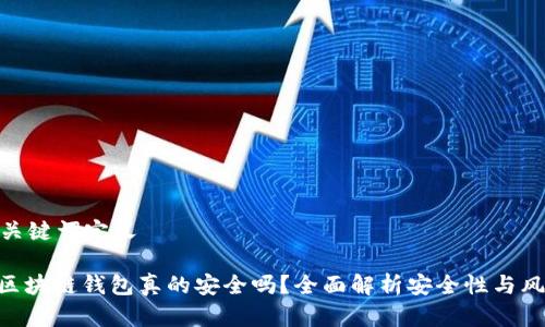 和关键词定义

: 区块链钱包真的安全吗？全面解析安全性与风险