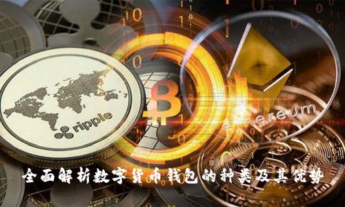 全面解析数字货币钱包的种类及其优势