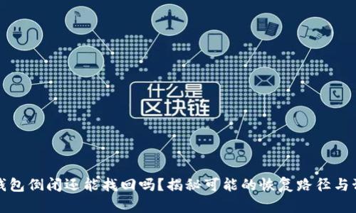 区块链钱包倒闭还能找回吗？揭秘可能的恢复路径与预防措施