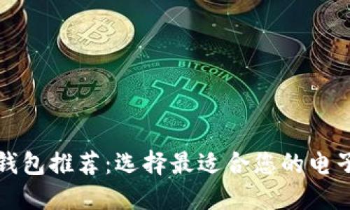十大数字钱包推荐：选择最适合您的电子支付工具