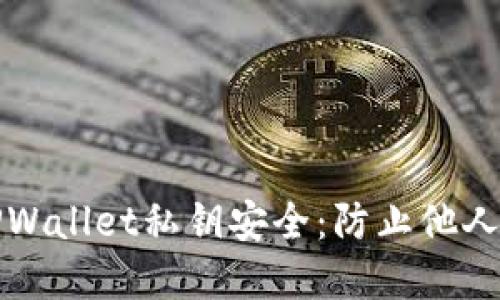 如何保护你的TPWallet私钥安全：防止他人窃取的最佳实践