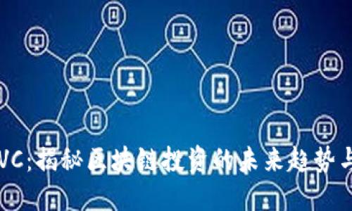 币圈VC：揭秘区块链投资的未来趋势与策略