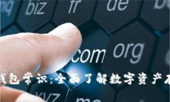 数字货币钱包常识：全面