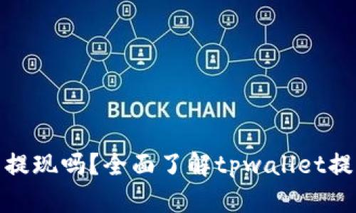 tpwallet真的能提现吗？全面了解tpwallet提现功能与安全性
