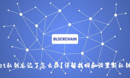 tpwallet私钥忘记了怎么办？详解找回和设置新私钥的步骤